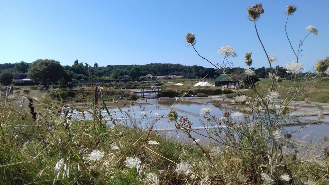 La Chaumette Les Sables-dʼOlonne